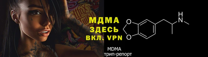 мдпв Алзамай
