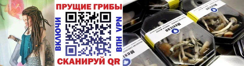 купить наркоту  Глазов  Галлюциногенные грибы мицелий 