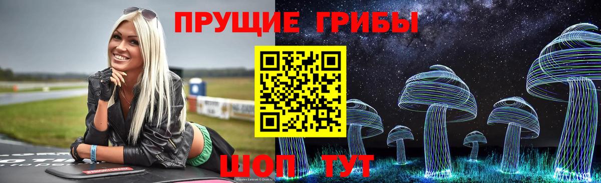 Глазов  Псилоцибиновые грибы Magic Shrooms  купить  цена  Вход с VPN  Псилоцибиновые грибы Psilocybe 